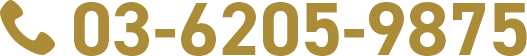 電話番号：03-6205-9875