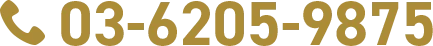 電話番号：03-6205-9875